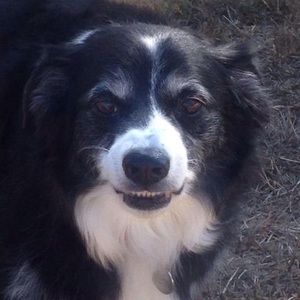 Meet your Posher, Will